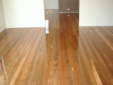 Timber Floor d
